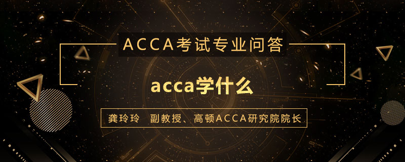 acca学什么